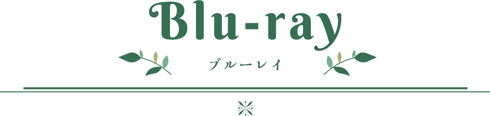 bd 音楽情報